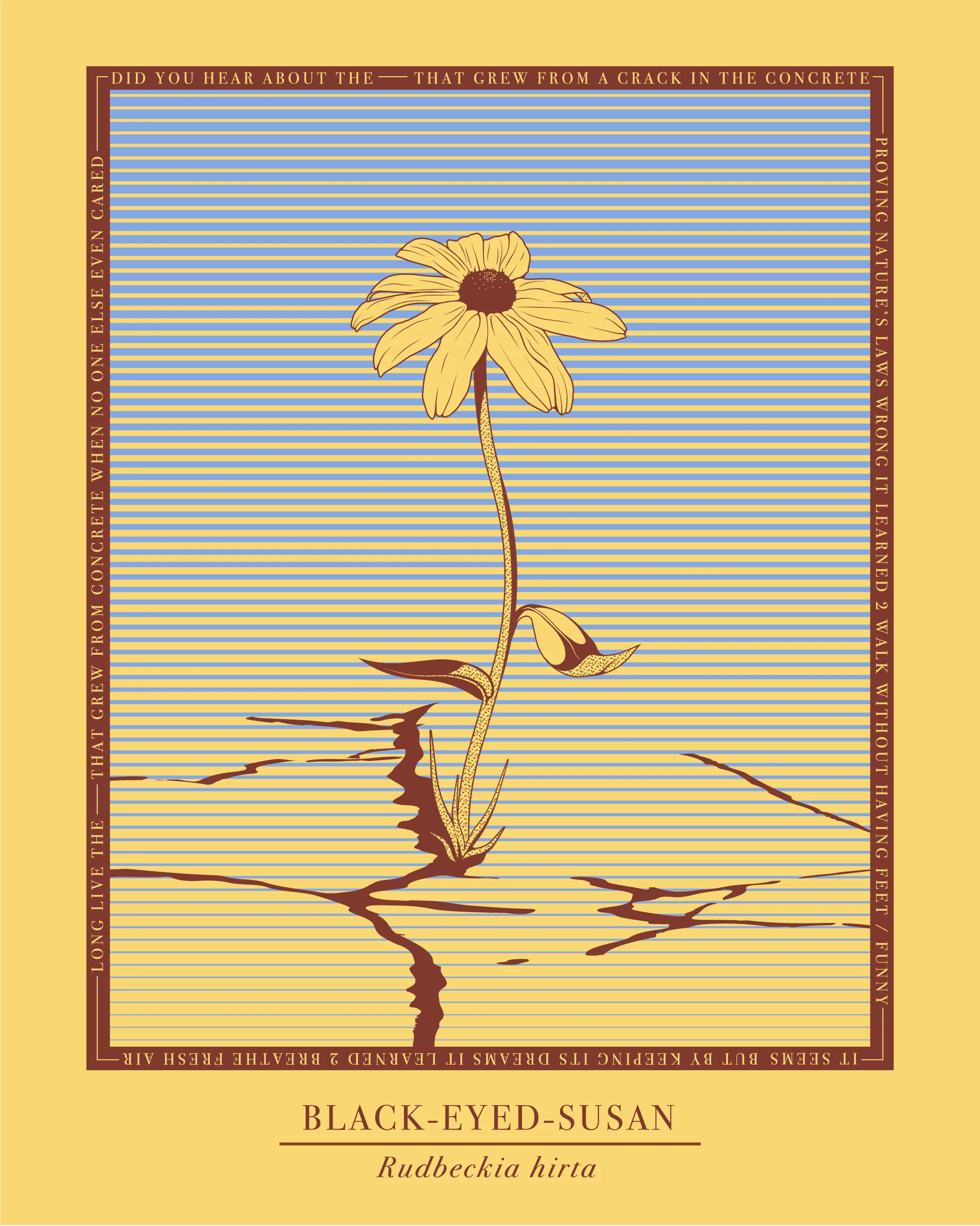 Black-Eyed Susan Longsleeve Tee
