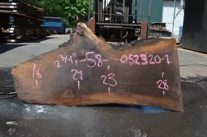 Oregon Black Walnut Slab 052320-01