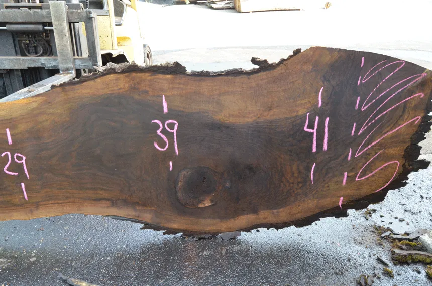 Oregon Black Walnut Slab 060220-07