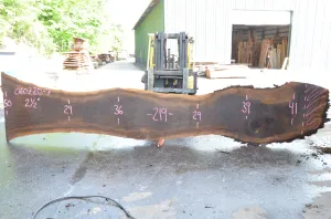 Oregon Black Walnut Slab 060220-07