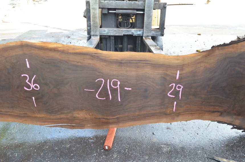 Oregon Black Walnut Slab 060220-07