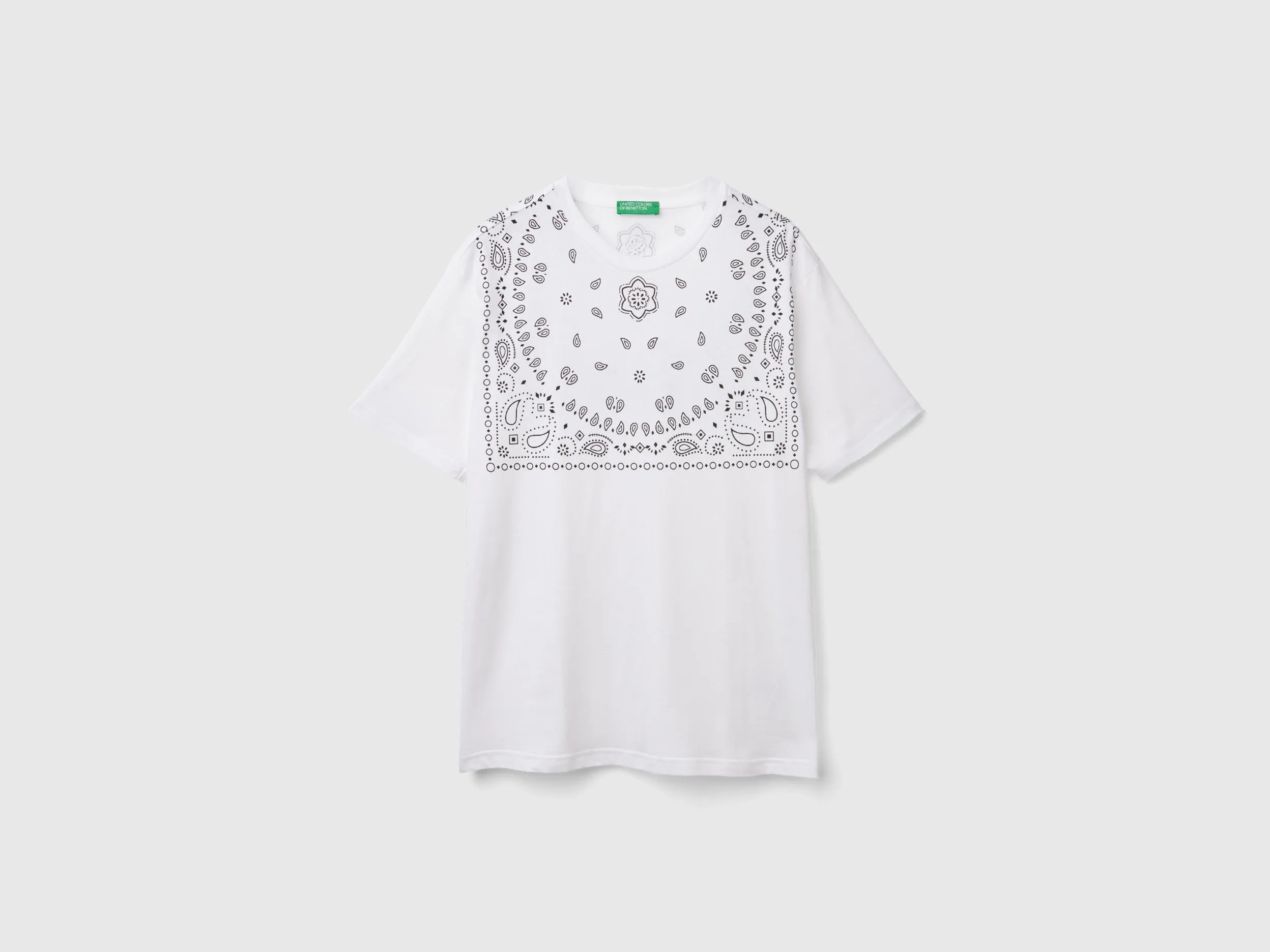 Regular Fit Round Neck Printed Tshirt