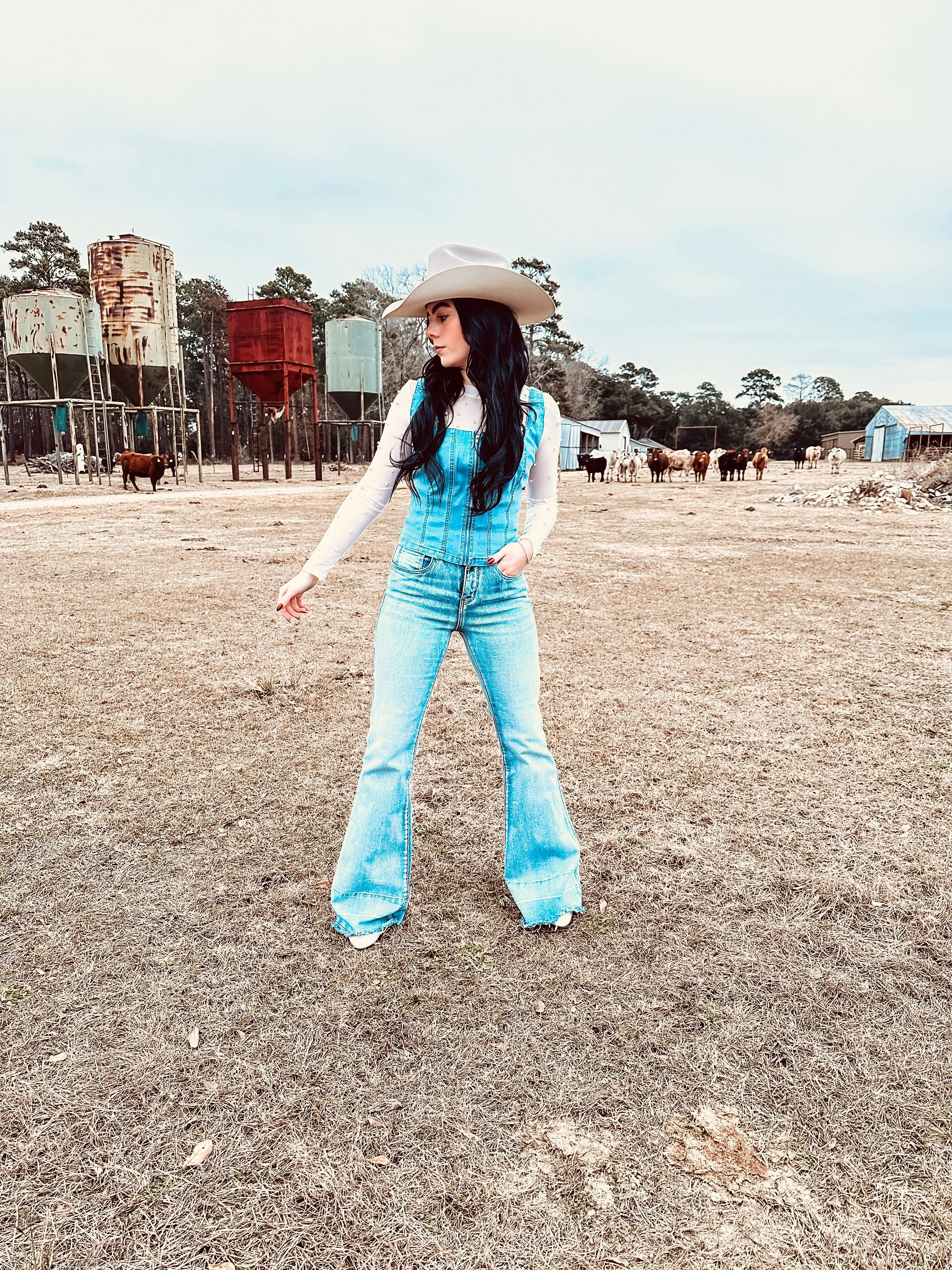Tummy Control Flare Jeans